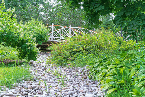 xeriscape with a bridge