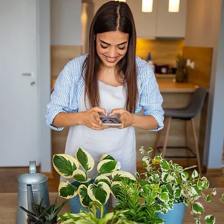 taking picture of plants