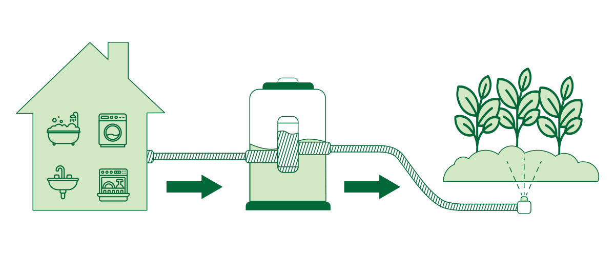 Greywater System showing how water is collected and treated