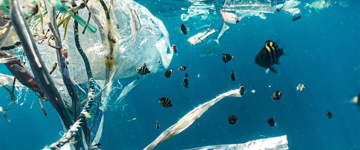 Ocean plastic pollution around a school of fish