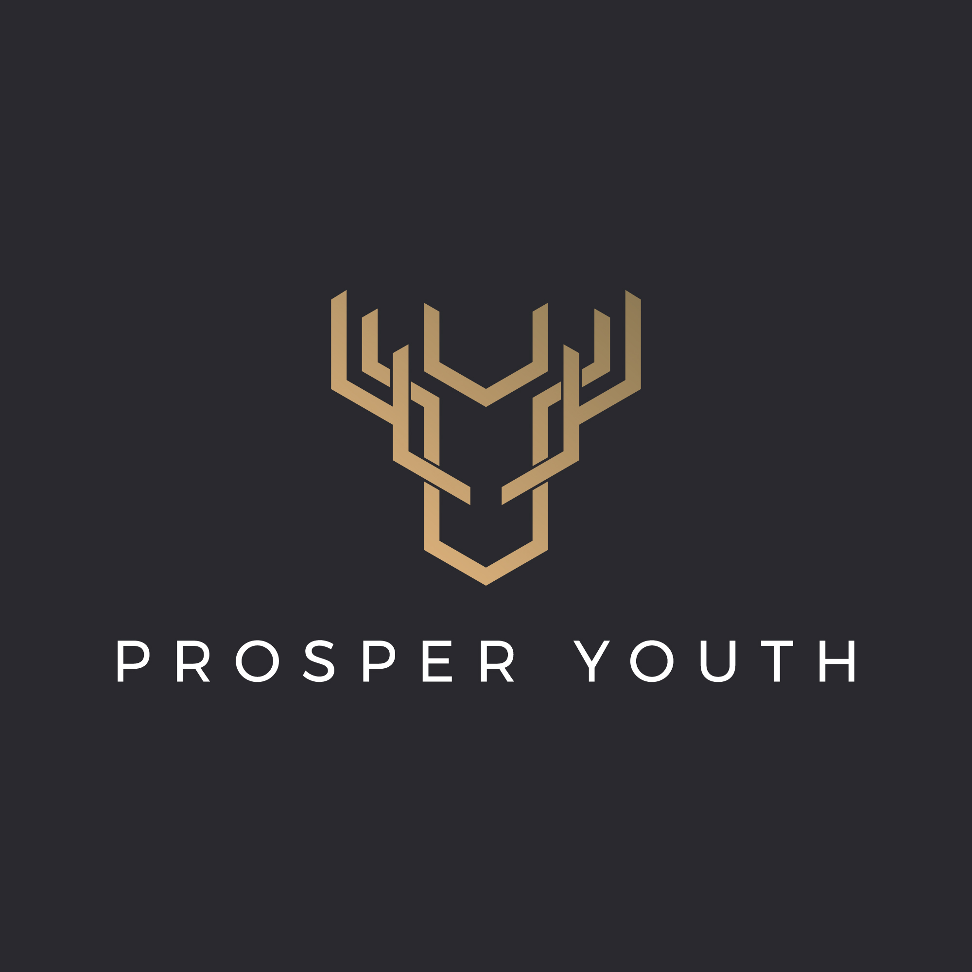 officialprosperyouth