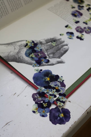 A book is open to a page wtih a sketched hand. There are small pressed flowers falling into the hand and pressed pansies to the side of the page.