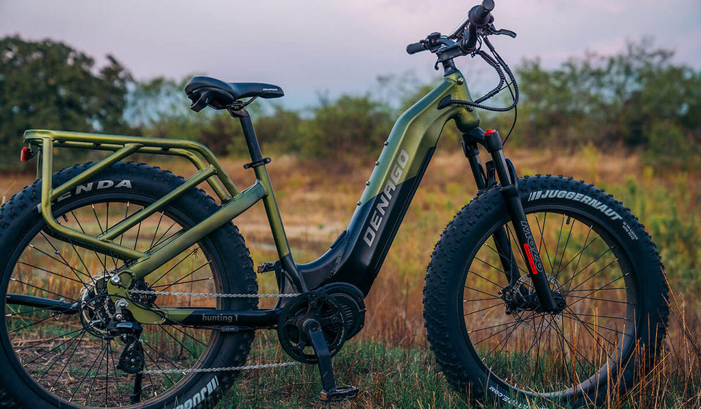 The Denago Hunting 1 eBike with a frame-welded rear rack and fat tires.