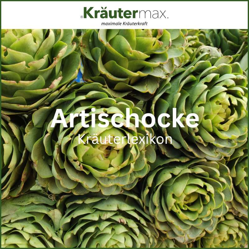 Artischocke kaufen