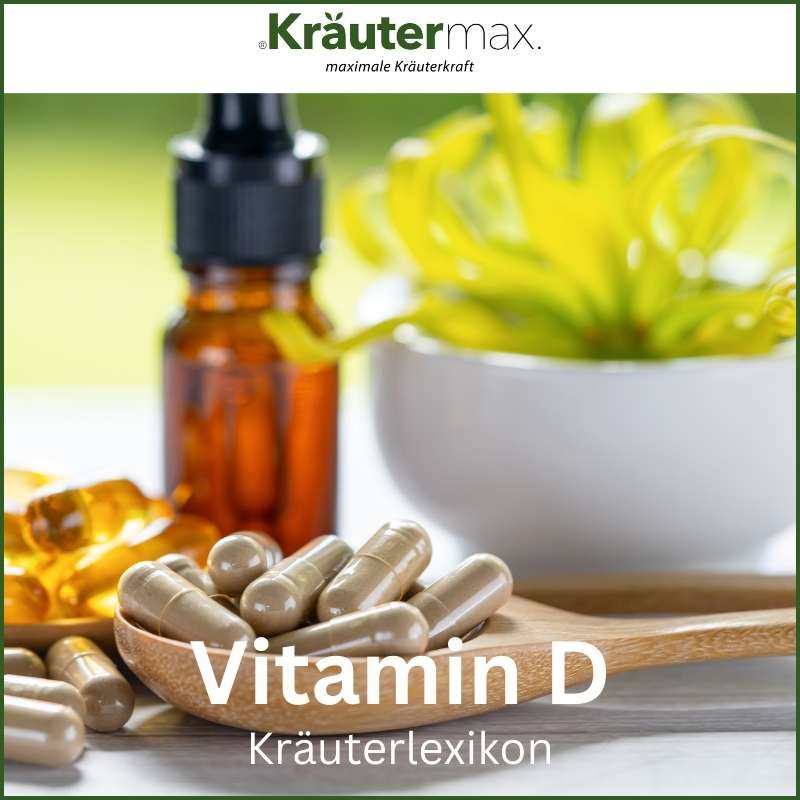 Vitamin D Lexikon Bild