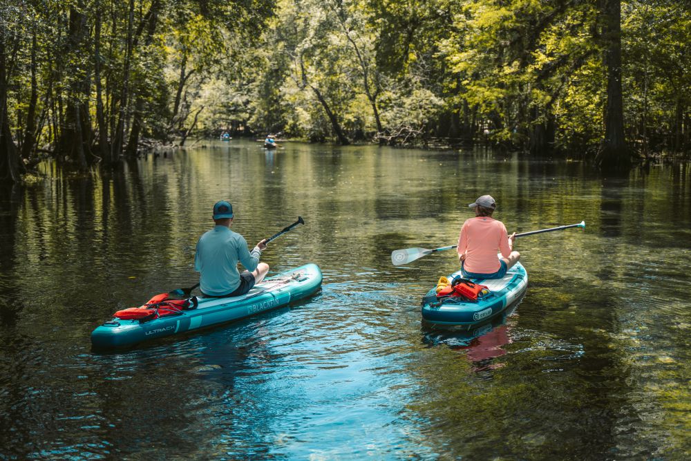 Dive into the World of SUP Today!