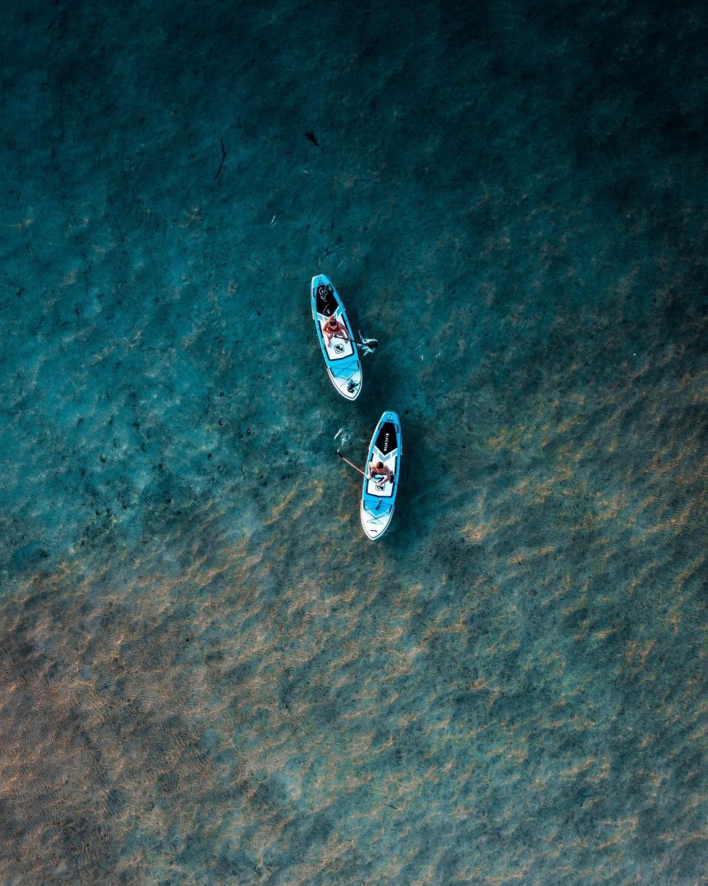 Paddle Boarding Time!