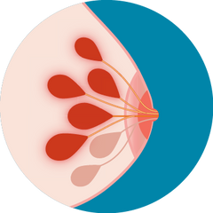 icono de estasis de leche