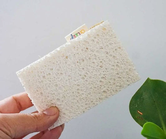 Two-sided Scrub Sponges - Plant-based Material – Originature