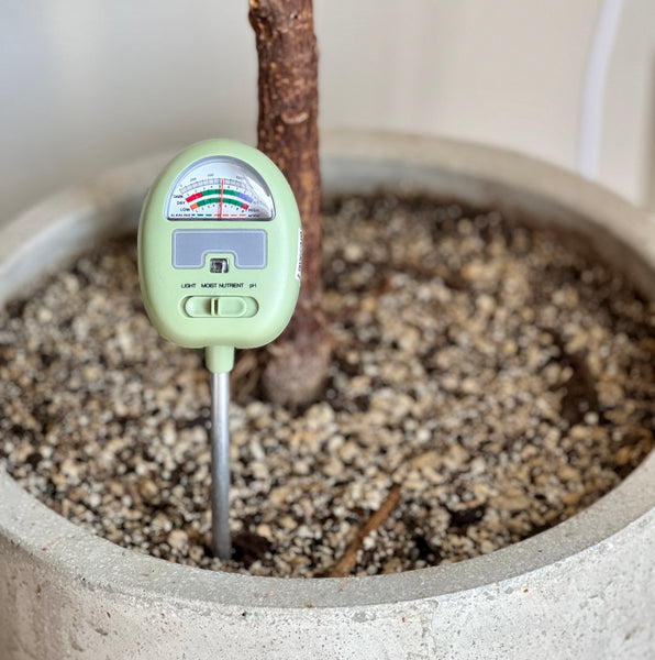 moisture meter for plants