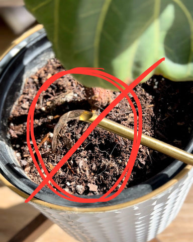 planter pot without drainage holes