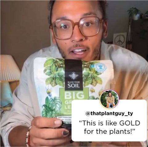 plantguyty