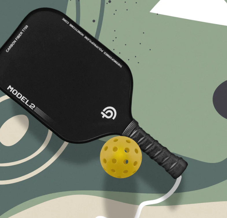 Elevate Your Pickleball Game with TheBigDink.com Paddles: A Comprehensive Guide