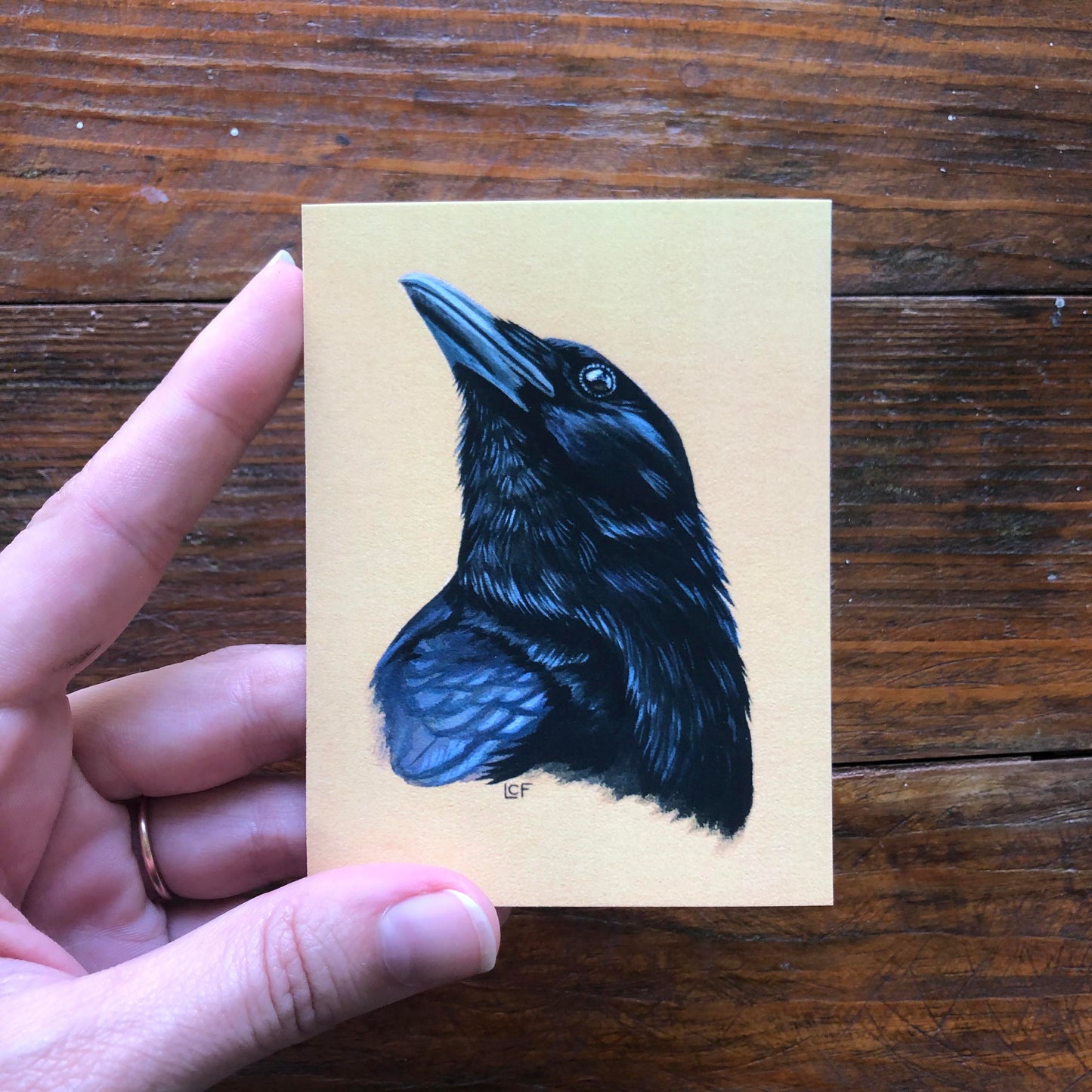 American Crow Portrait | Tiny Art Print