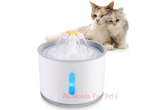 Automatic Pet Water 
