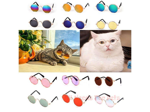 sunglasses for cats