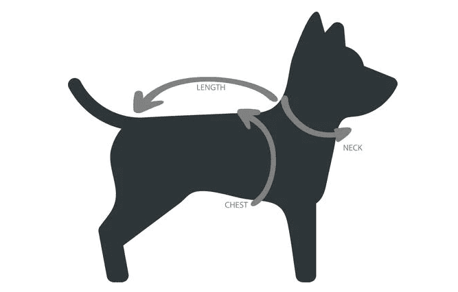 fabdog measurement guide