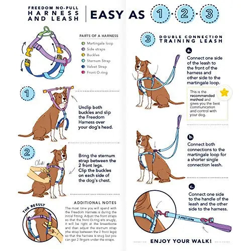 freedom no pull harness fit instructions