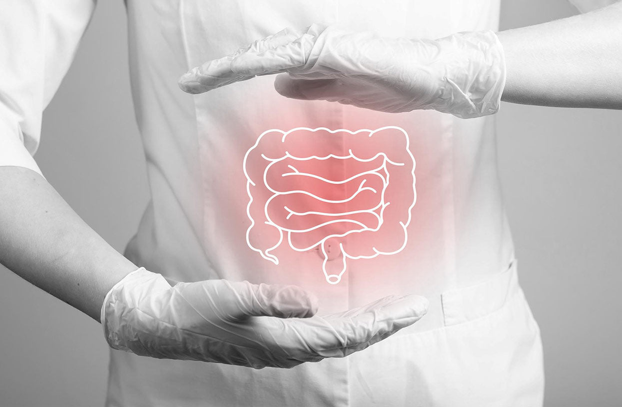 Gut Health