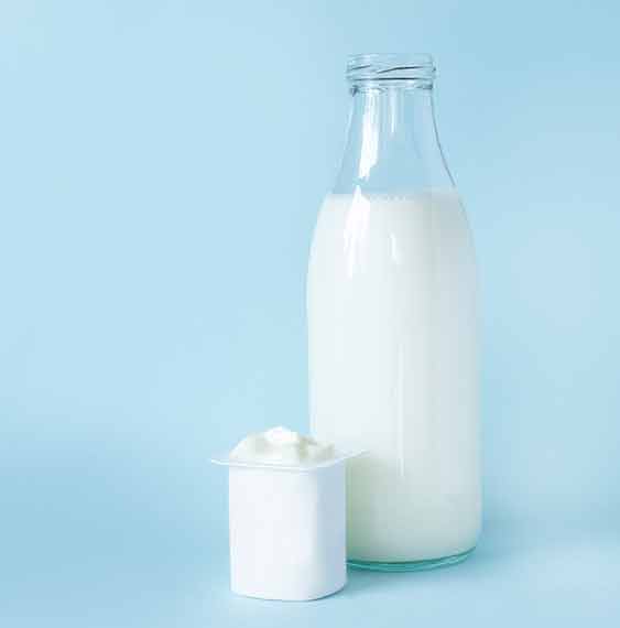 Calcium as present in 480ml of milk*