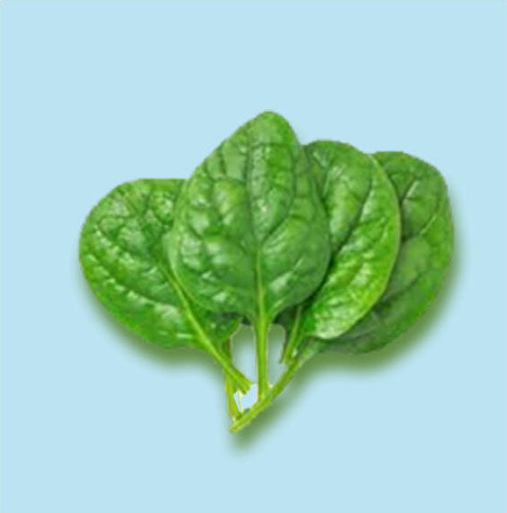 Biotin as present in  750 gms of cooked spinach