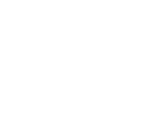 Vegan 