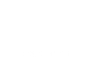 Vegetarian 