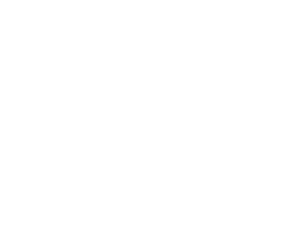 Well Balanced Formula