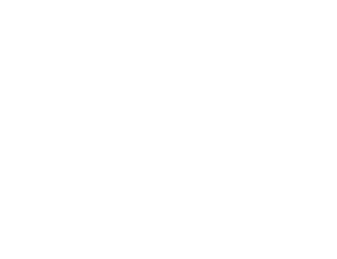 Zero Carbs