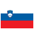 Slovenia Icon