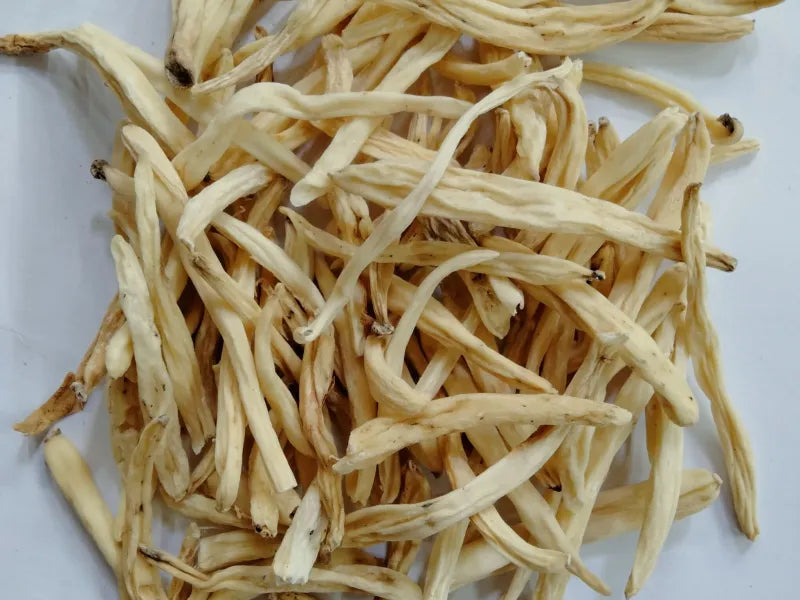 Safed Musli