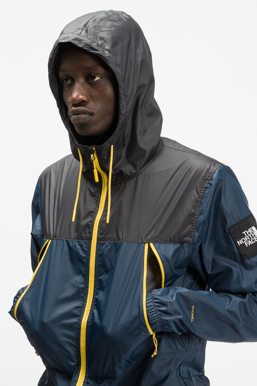 the north face jacket mountain