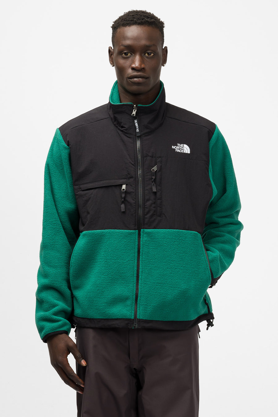 the north face 95 retro denali jacket