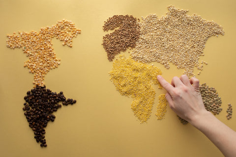 International Year of Millets