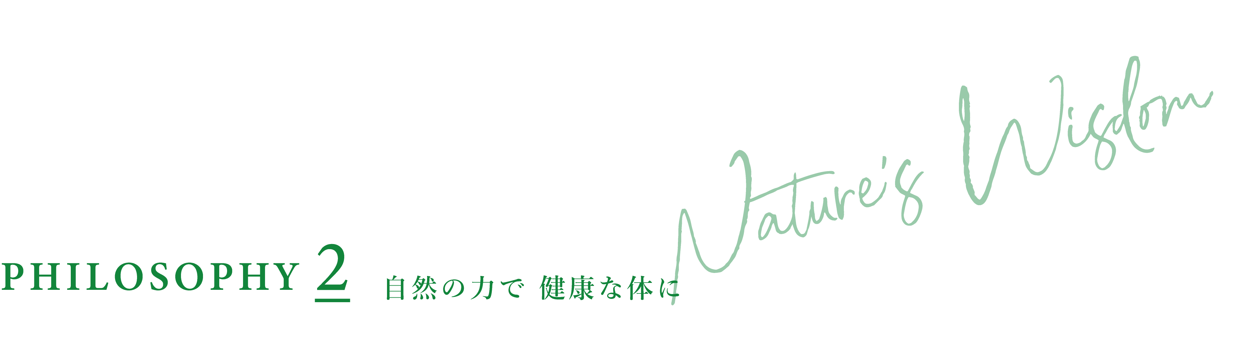 自然の力で 健康な体に