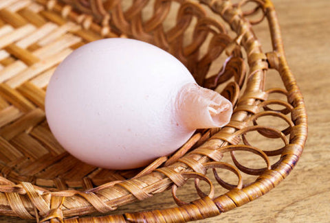 huevo-de-gallina-anormal-de-la-forma-caprichosa