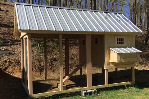 A beautiful chicken coop with nesting box