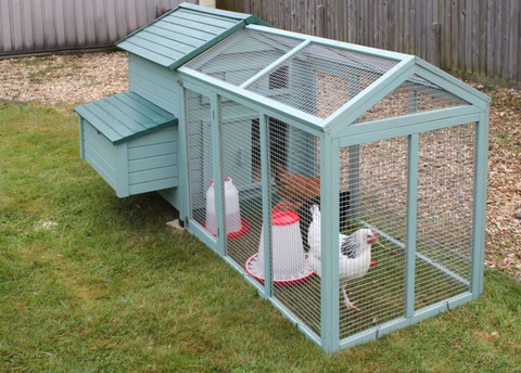 chicken coop for 4-6 chickens with chicken run set up