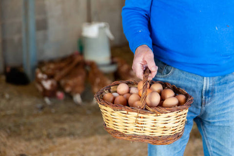 hand-holding-basket-of-eggs