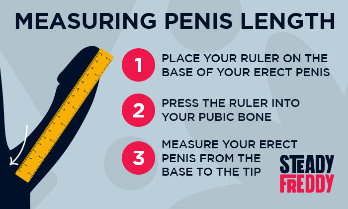 How to measure penis length