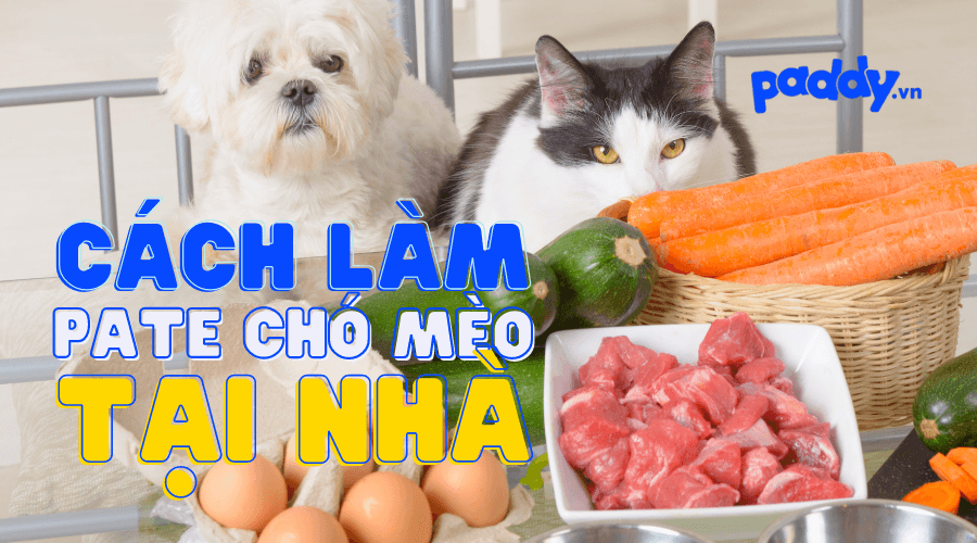 Pate Tươi Cho Chó Mèo, Cách Tự Làm Pate Tươi Tại Nhà – Paddy Pet Shop