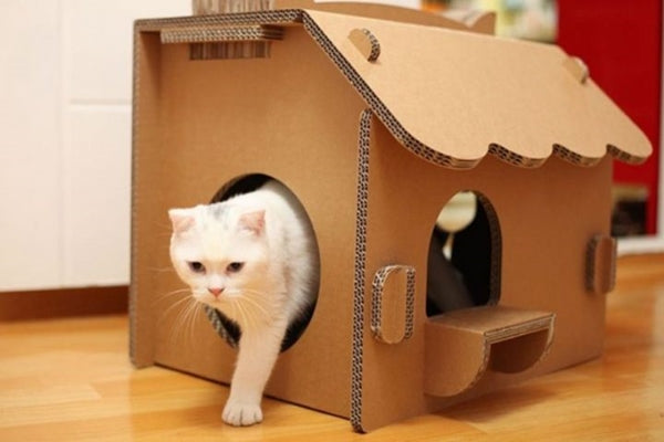 Thiết kế nhà cho mèo bằng thùng giấy