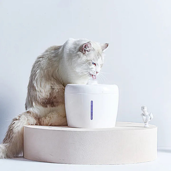 lựa chọn máy lọc nước tự động thông minh cho mèo