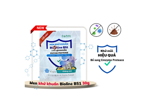 men khử khuẩn cát mèo