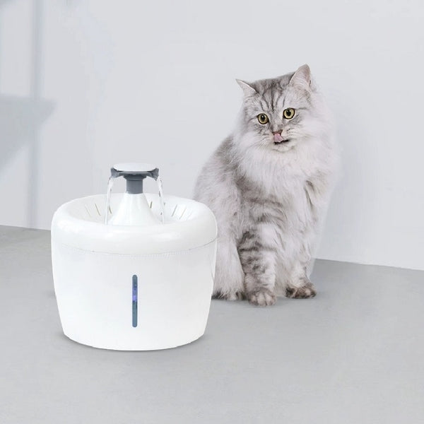 máy lọc nước cho mèo
