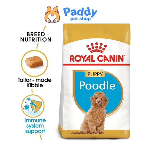 hat-royal-canin-poodle-puppy