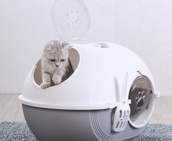 nhà vệ sinh mèo thông minh