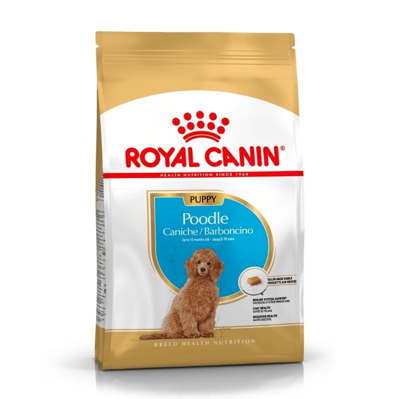 royal-canin-poodle-puppy-paddy