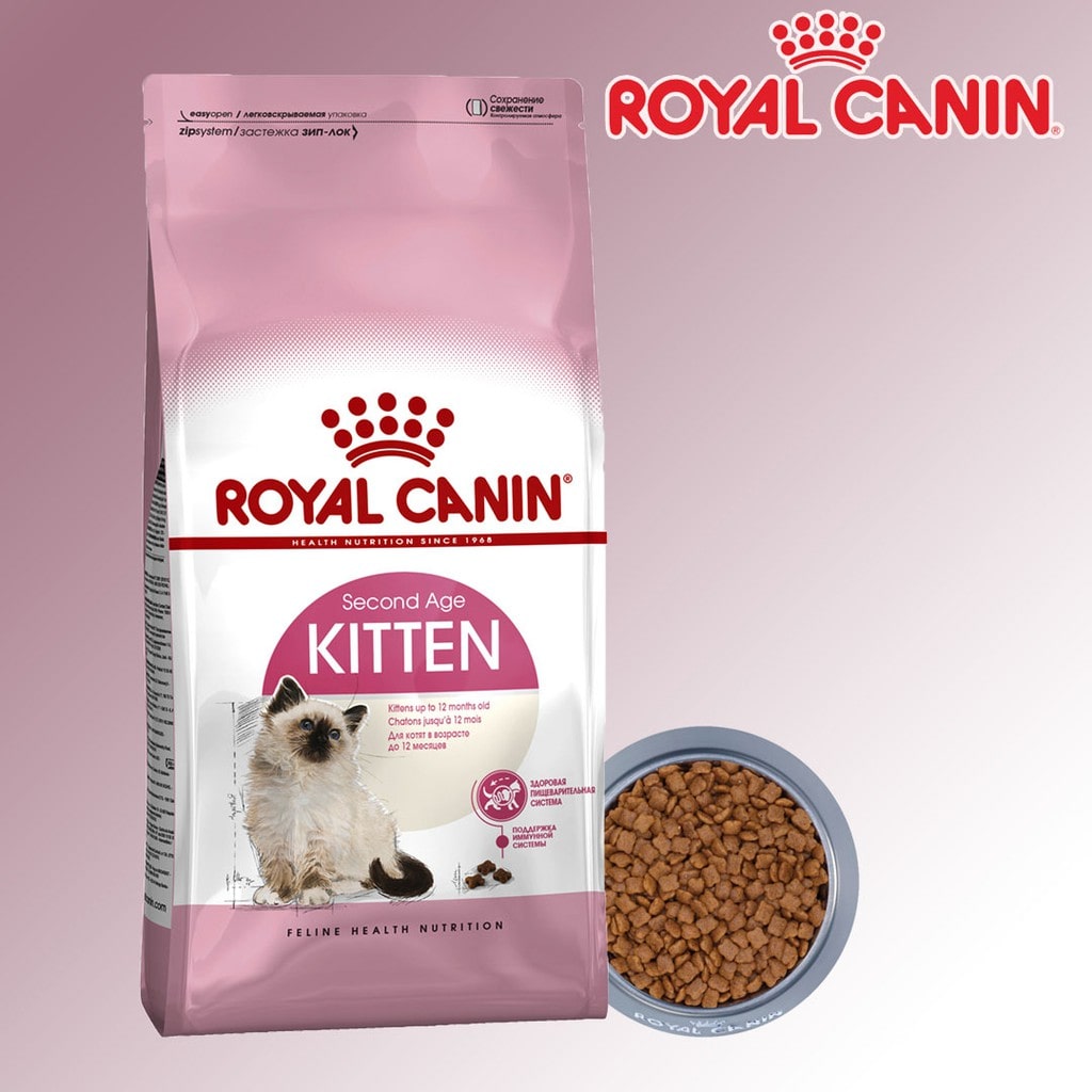 Royal-canin-kitten-cho-meo-con