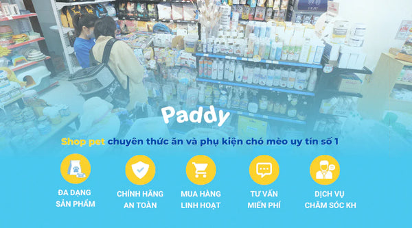 Paddy Pet Shop